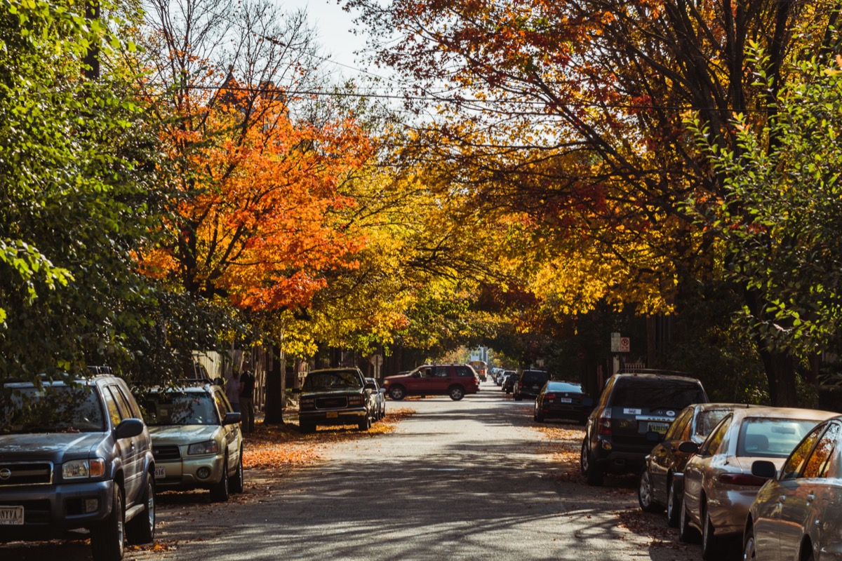 Richmond Fall Autumn