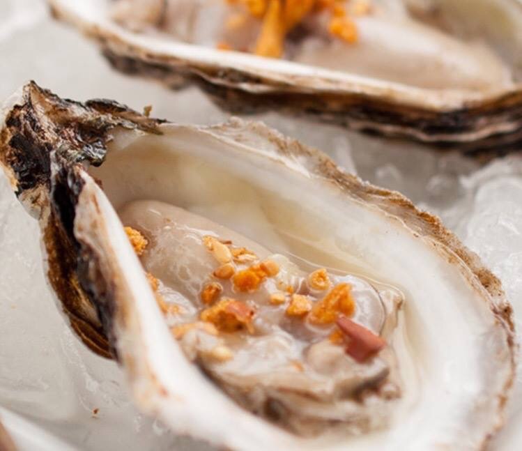 crunch dynasty oysters
