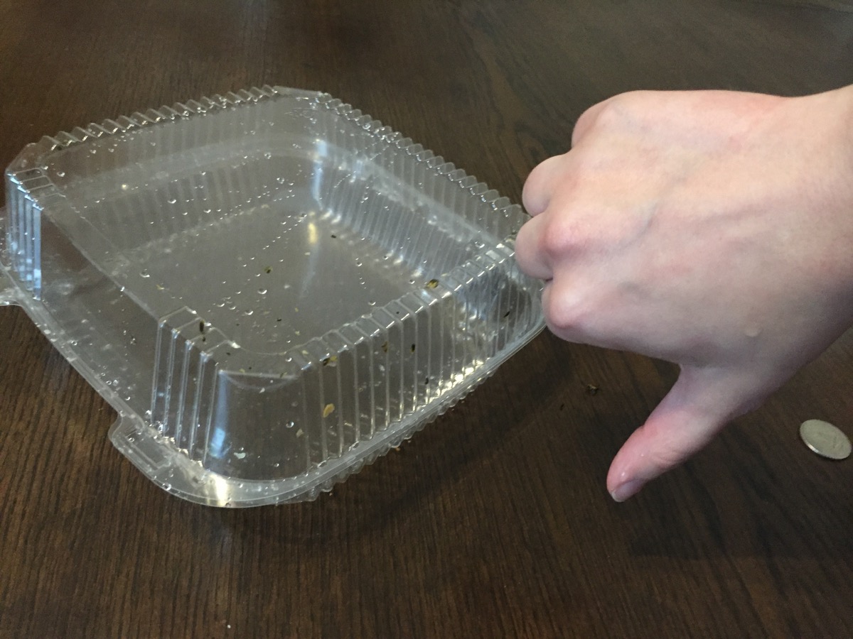 How to recycle properly in Richmond, Virginia