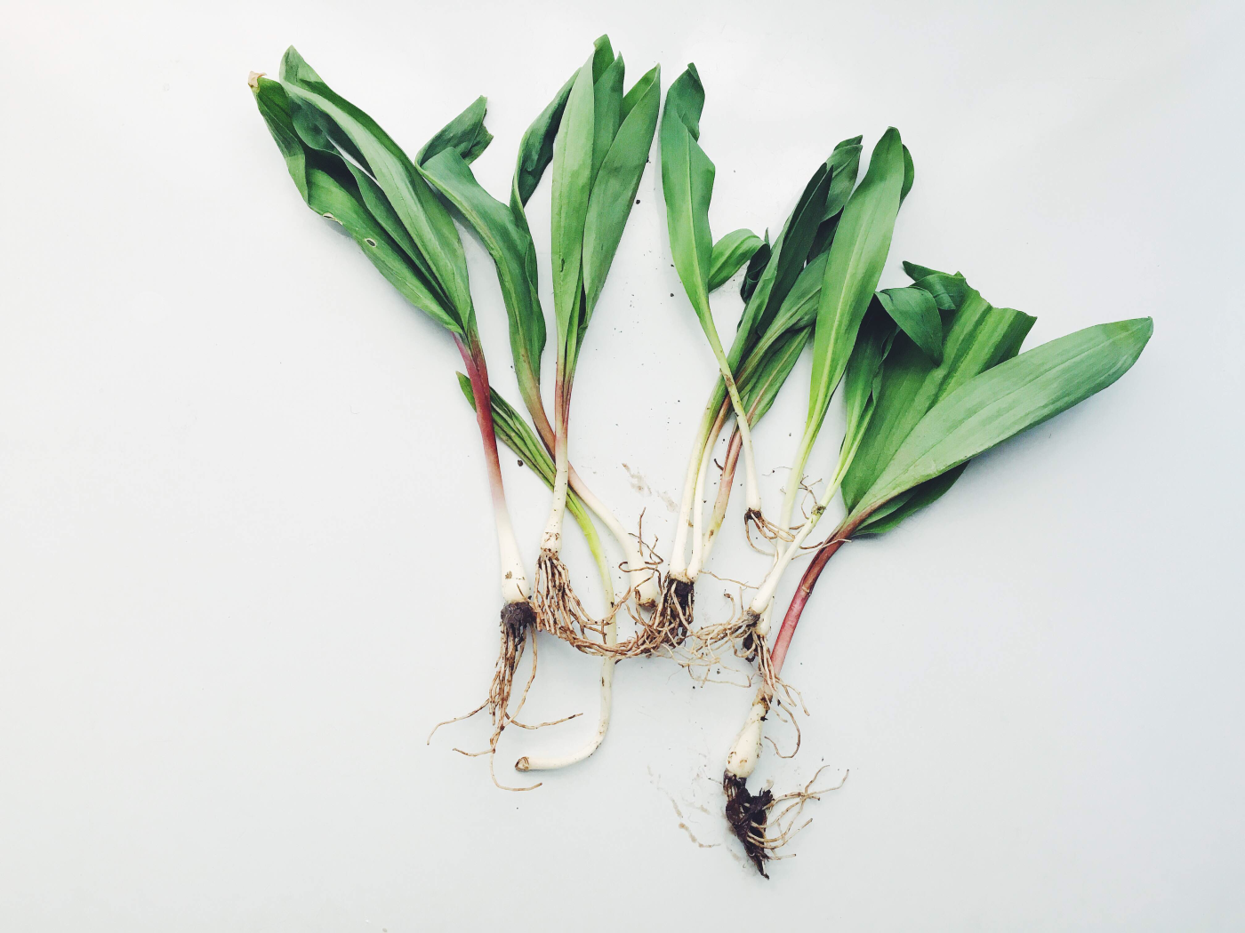 ramps.png